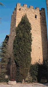 Castell de Vulpellac